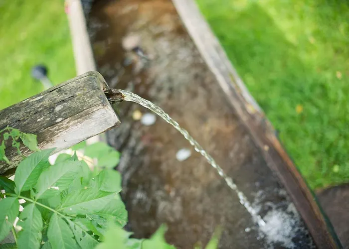 Otel Steuxner Rehoboth Beach
