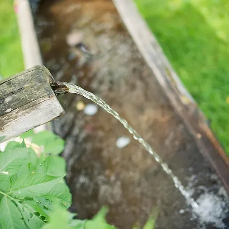 Hotel Steuxner Neustift im Stubaital