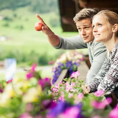 Steuxner Neustift im Stubaital