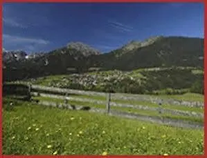 Steuxner 3*